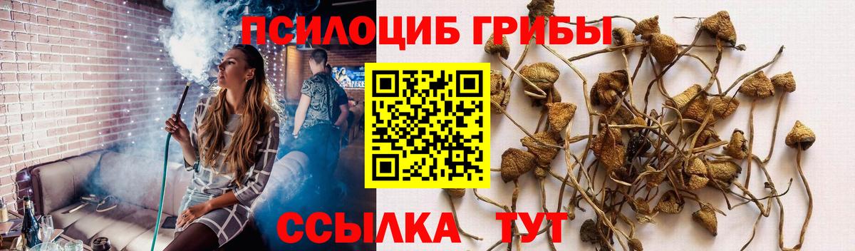 Старая Купавна  Псилоцибиновые грибы MAGIC MUSHROOMS  купить  сайты  Вход с VPN 